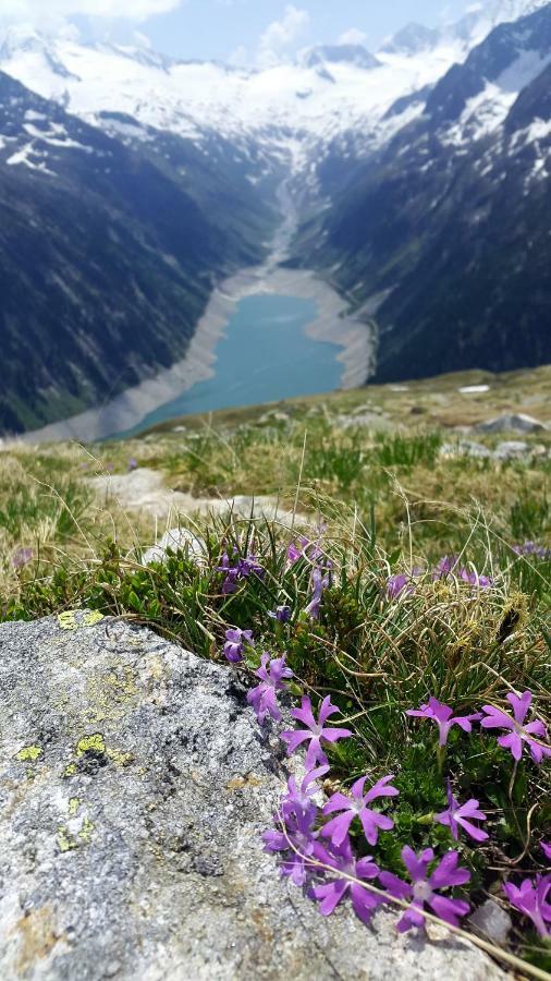 Hotel Pension Eichenhof Ried im Zillertal Zewnętrze zdjęcie